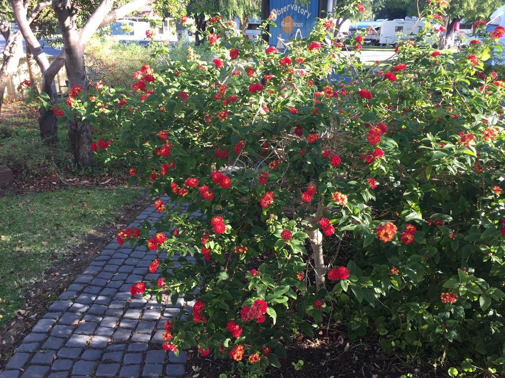 Observatory Guesthouse - Adults Only Busselton Bagian luar foto
